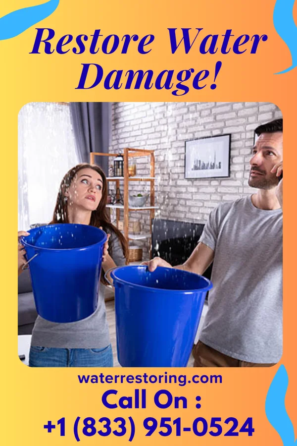 water restoration Best Recovery Partners Delavan