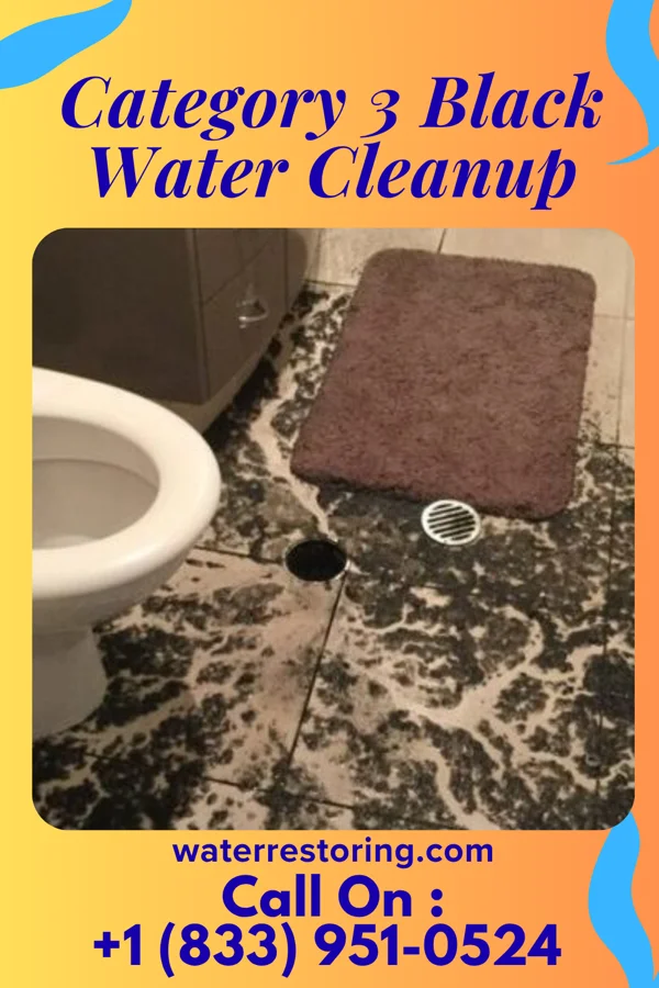 Category 3 Black Water Cleanup in Delavan, WI